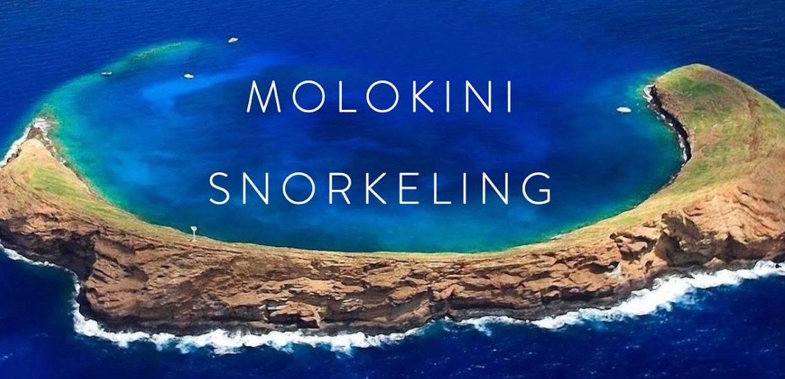 Snorkel Molokini